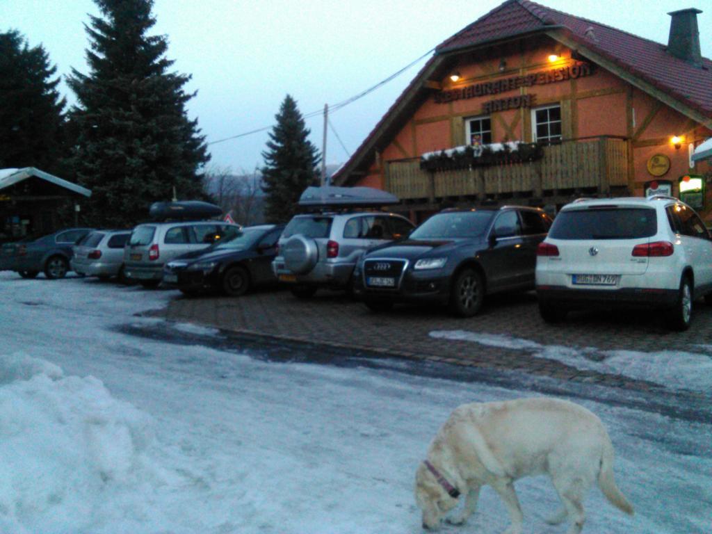 Restaurant Pension-Anton Яхимов Экстерьер фото